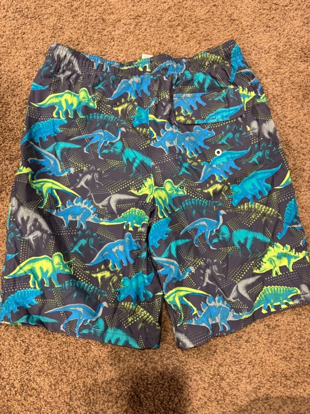 wonder nation Boys' Swim Trunks - Navy, Bright Blue & Neon Green Dino Print